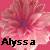 Icon plaatjes Naam icons Alyssa 