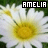 Icon plaatjes Naam icons Amelia 