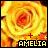 Icon plaatjes Naam icons Amelia 