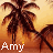 Icon plaatjes Naam icons Amy 