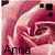 Icon plaatjes Naam icons Anna 