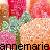 Icon plaatjes Naam icons Annemarie 