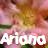 Icon plaatjes Naam icons Ariana 