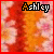 Icon plaatjes Naam icons Ashley 