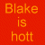 Icon plaatjes Naam icons Blake 