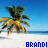 Icon plaatjes Naam icons Brandi 
