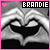 Icon plaatjes Naam icons Brandie 