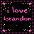 Icon plaatjes Naam icons Brandon 