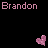 Icon plaatjes Naam icons Brandon 