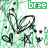 Icon plaatjes Naam icons Bree 