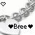 Icon plaatjes Naam icons Bree 