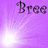 Icon plaatjes Naam icons Bree 