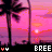 Icon plaatjes Naam icons Bree 