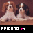 Icon plaatjes Naam icons Brianna 