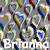 Icon plaatjes Naam icons Brianna 