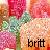 Icon plaatjes Naam icons Britt 