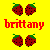 Icon plaatjes Naam icons Brittany 