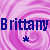 Icon plaatjes Naam icons Brittany 