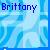 Icon plaatjes Naam icons Brittany 