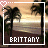 Icon plaatjes Naam icons Brittany 
