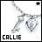 Icon plaatjes Naam icons Callie 