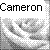 Icon plaatjes Naam icons Cameron 