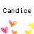 Icon plaatjes Naam icons Candice 