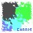 Icon plaatjes Naam icons Carrie 