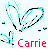 Icon plaatjes Naam icons Carrie 