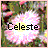 Icon plaatjes Naam icons Celeste 