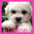 Icon plaatjes Naam icons Chloe 