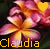 Icon plaatjes Naam icons Claudia 