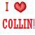 Icon plaatjes Naam icons Collin 