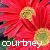 Icon plaatjes Naam icons Courtney 