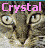 Icon plaatjes Naam icons Crystal 
