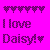 Icon plaatjes Naam icons Daisy 