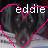 Icon plaatjes Naam icons Eddie 