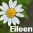 Icon plaatjes Naam icons Eileen 