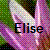 Icon plaatjes Naam icons Elise 