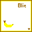 Icon plaatjes Naam icons Ellie 