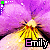 Icon plaatjes Naam icons Emily 
