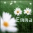 Icon plaatjes Naam icons Emma 