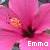 Icon plaatjes Naam icons Emma 