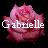 Icon plaatjes Naam icons Gabrielle 