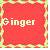 Icon plaatjes Naam icons Ginger 