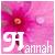 Icon plaatjes Naam icons Hannah 