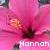 Icon plaatjes Naam icons Hannah 