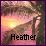 Icon plaatjes Naam icons Heather 
