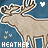 Icon plaatjes Naam icons Heather 