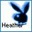 Icon plaatjes Naam icons Heather 